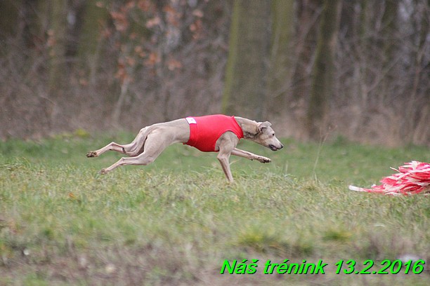 Náš trénink 13.2.2016 (223)