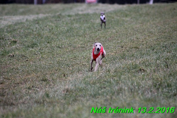 Náš trénink 13.2.2016 (225)