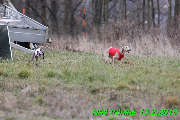 Náš trénink 13.2.2016 (231)