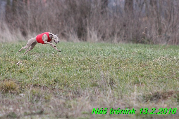 Náš trénink 13.2.2016 (232)