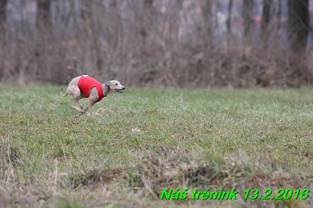 Náš trénink 13.2.2016 (233)