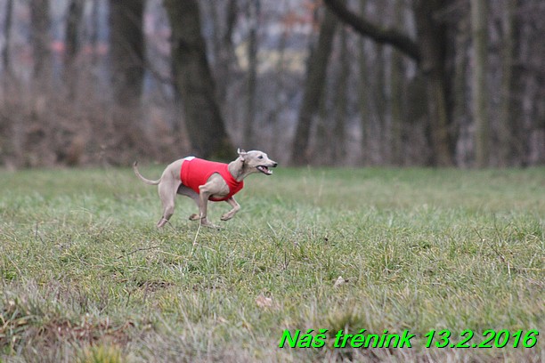 Náš trénink 13.2.2016 (234)