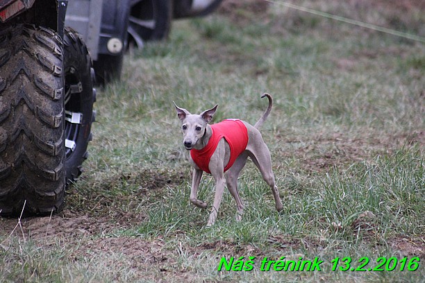 Náš trénink 13.2.2016 (243)