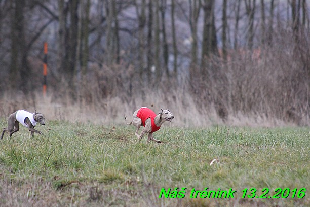 Náš trénink 13.2.2016 (244)