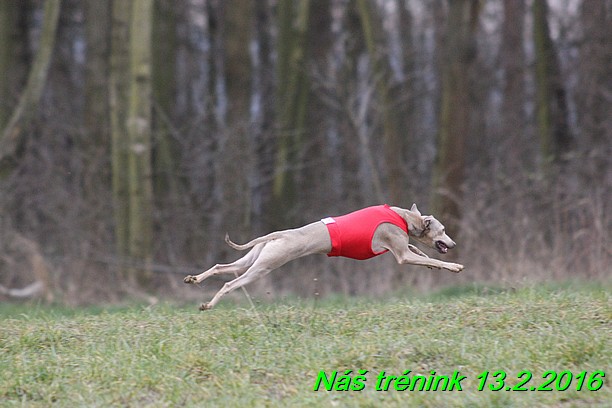 Náš trénink 13.2.2016 (249)