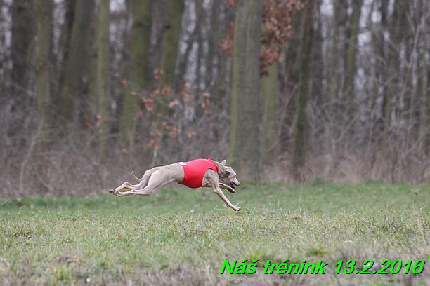 Náš trénink 13.2.2016 (251)