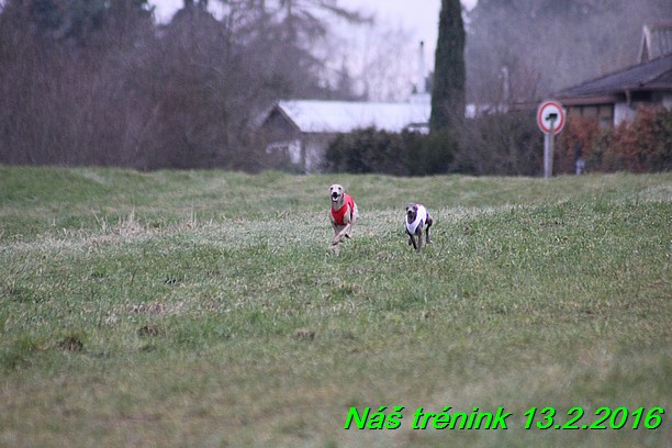 Náš trénink 13.2.2016 (252)