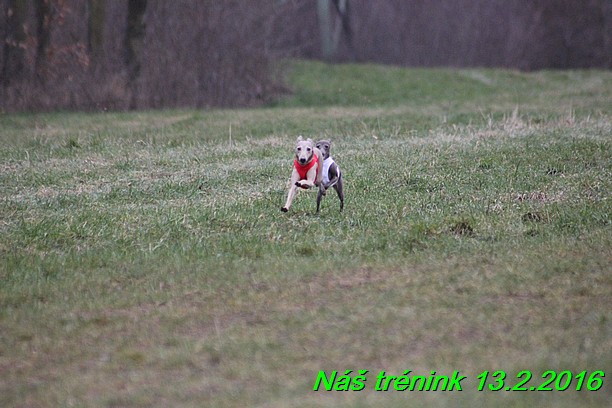 Náš trénink 13.2.2016 (257)