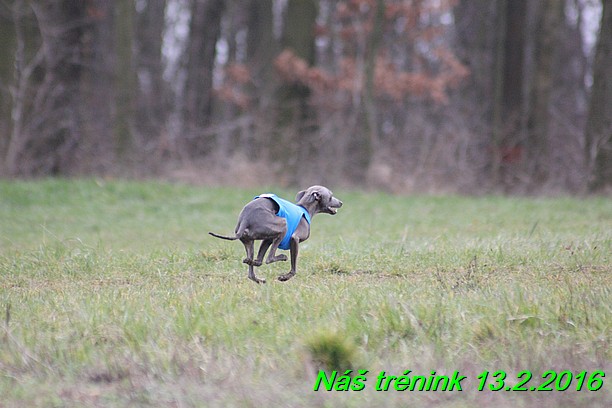 Náš trénink 13.2.2016 (128)