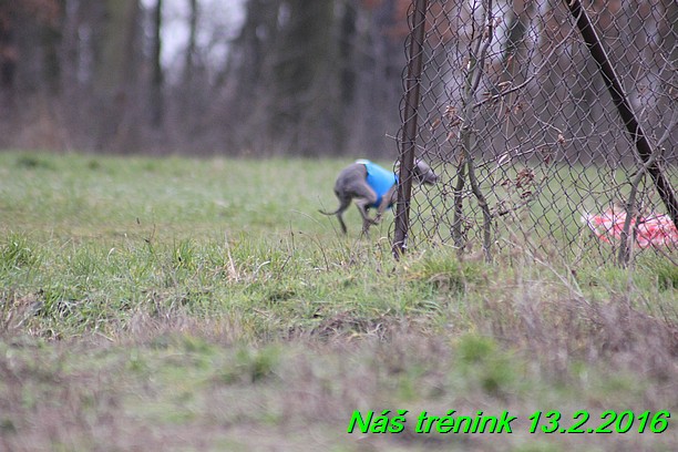 Náš trénink 13.2.2016 (130)