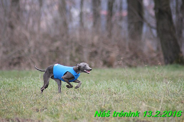 Náš trénink 13.2.2016 (133)