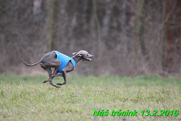 Náš trénink 13.2.2016 (140)