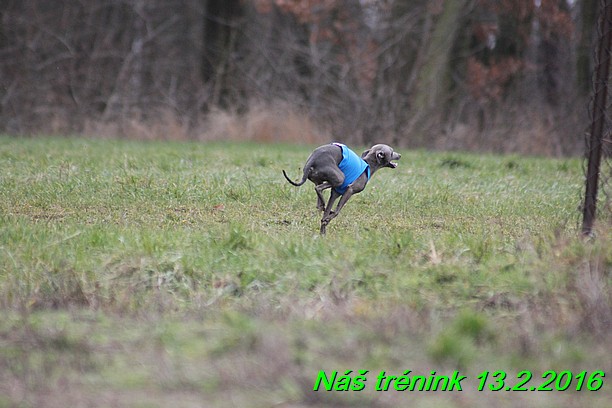 Náš trénink 13.2.2016 (142)