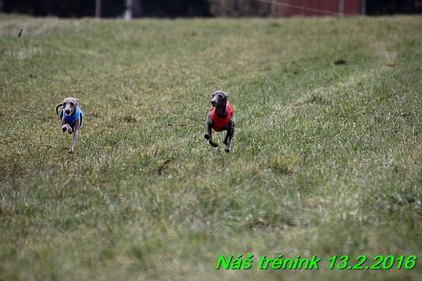 Náš trénink 13.2.2016 (153)