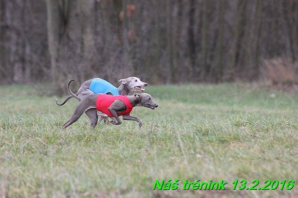 Náš trénink 13.2.2016 (190)