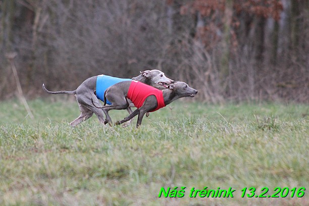 Náš trénink 13.2.2016 (192)