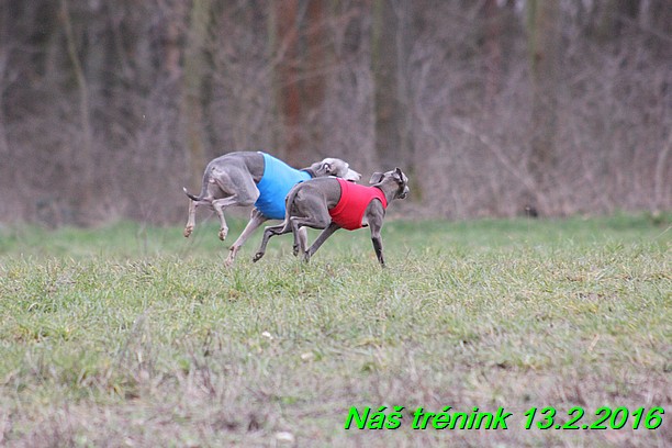 Náš trénink 13.2.2016 (198)