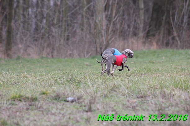 Náš trénink 13.2.2016 (199)