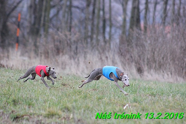 Náš trénink 13.2.2016 (201)