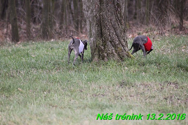 Náš trénink 13.2.2016 (16)