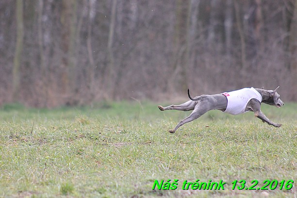 Náš trénink 13.2.2016 (58)