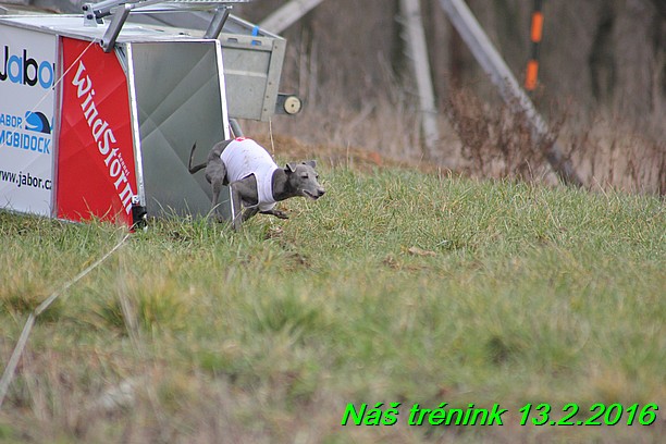 Náš trénink 13.2.2016 (66)