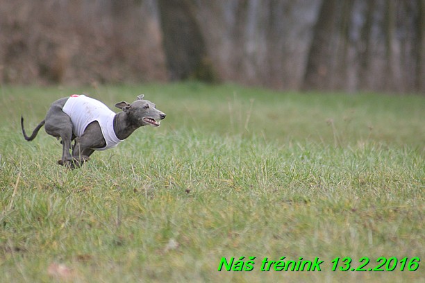 Náš trénink 13.2.2016 (69)