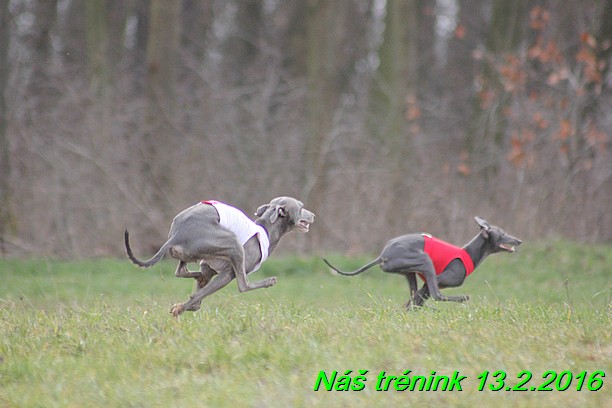 Náš trénink 13.2.2016 (74)