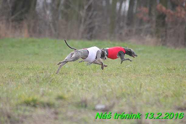 Náš trénink 13.2.2016 (75)