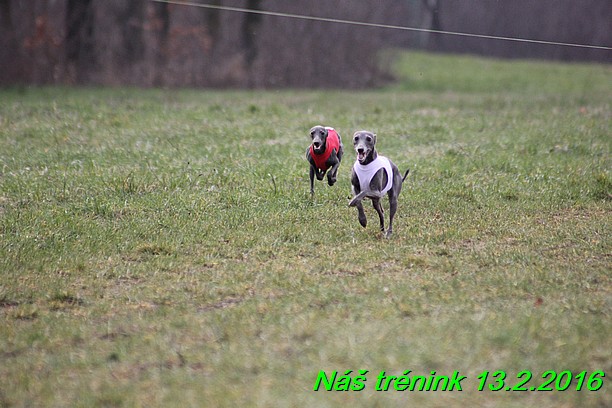 Náš trénink 13.2.2016 (78)