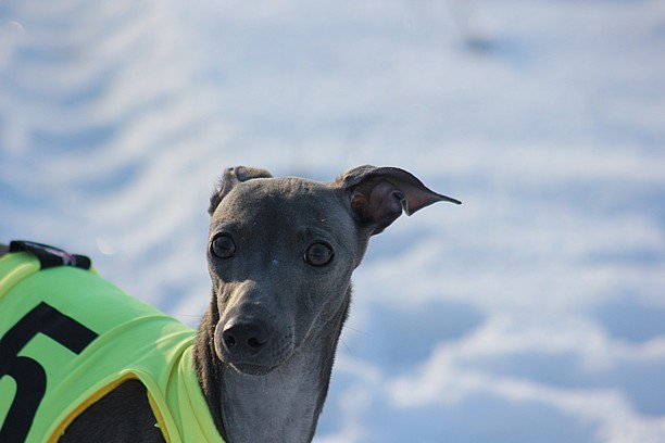 Naš trénink 22.1.2016 (175)