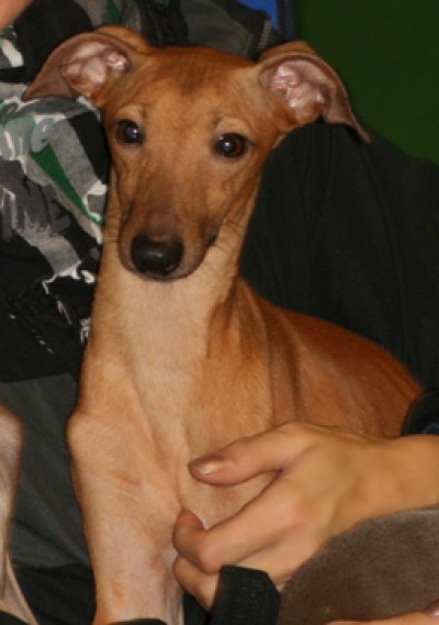 aldo-5.2.2011.jpg