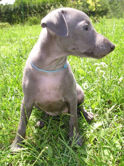 deity-damaya-bugsy-6.-tydnu.jpg