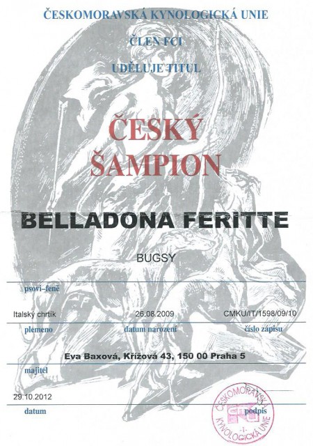 belladona-sampion-cz.jpg