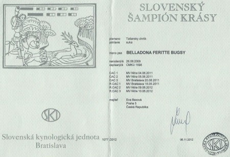 belladona-slovensky-sampion.jpg