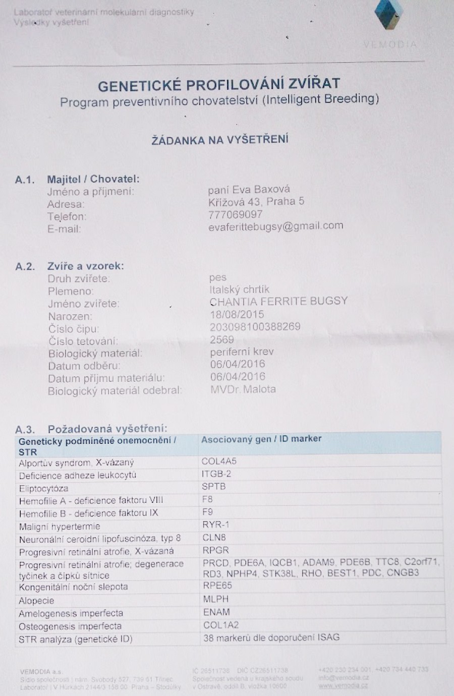 chantia-feritte-bugsy-dna-testy-vemodia.jpg