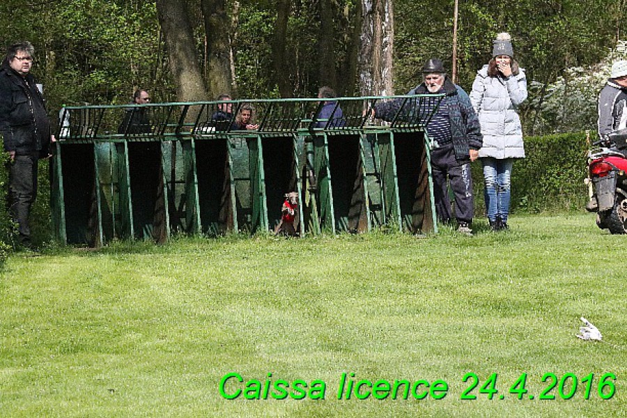 caissa-licence-24.4.2016--211-.jpg