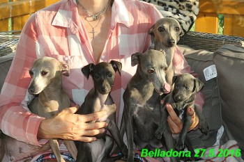 belladona-v-den-adopce-27.5--7-.jpg