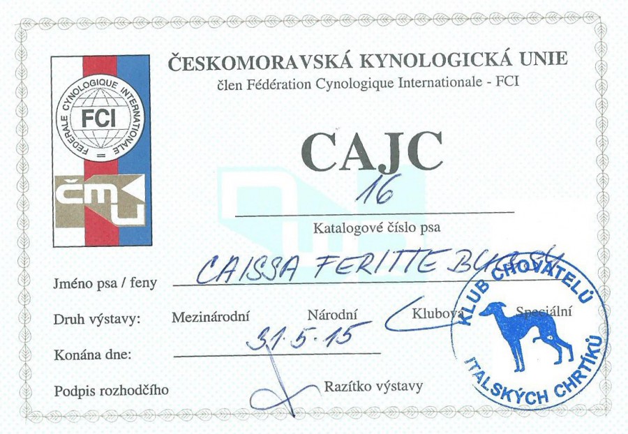 italsky-chrtik-caissa-feritte-bugsy-cajc.jpg