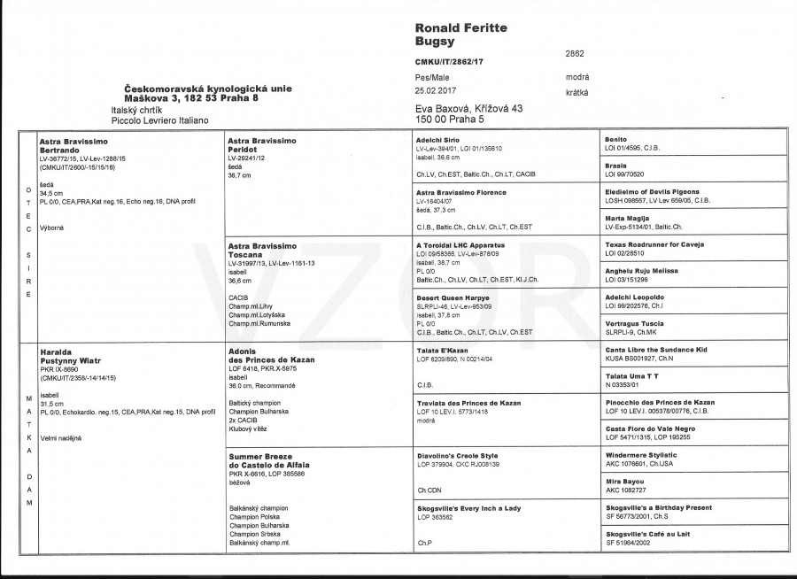 pedigree-r-2017.jpg