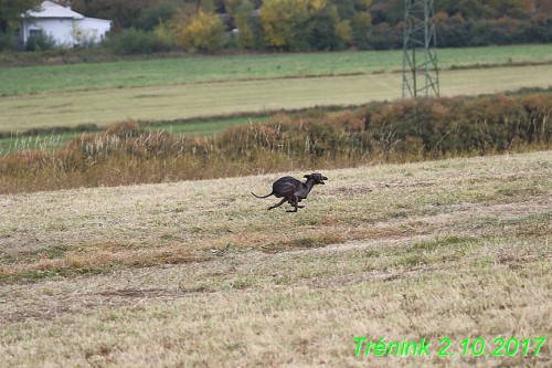 soukrony-trenink-2.10.2017--12-.jpg