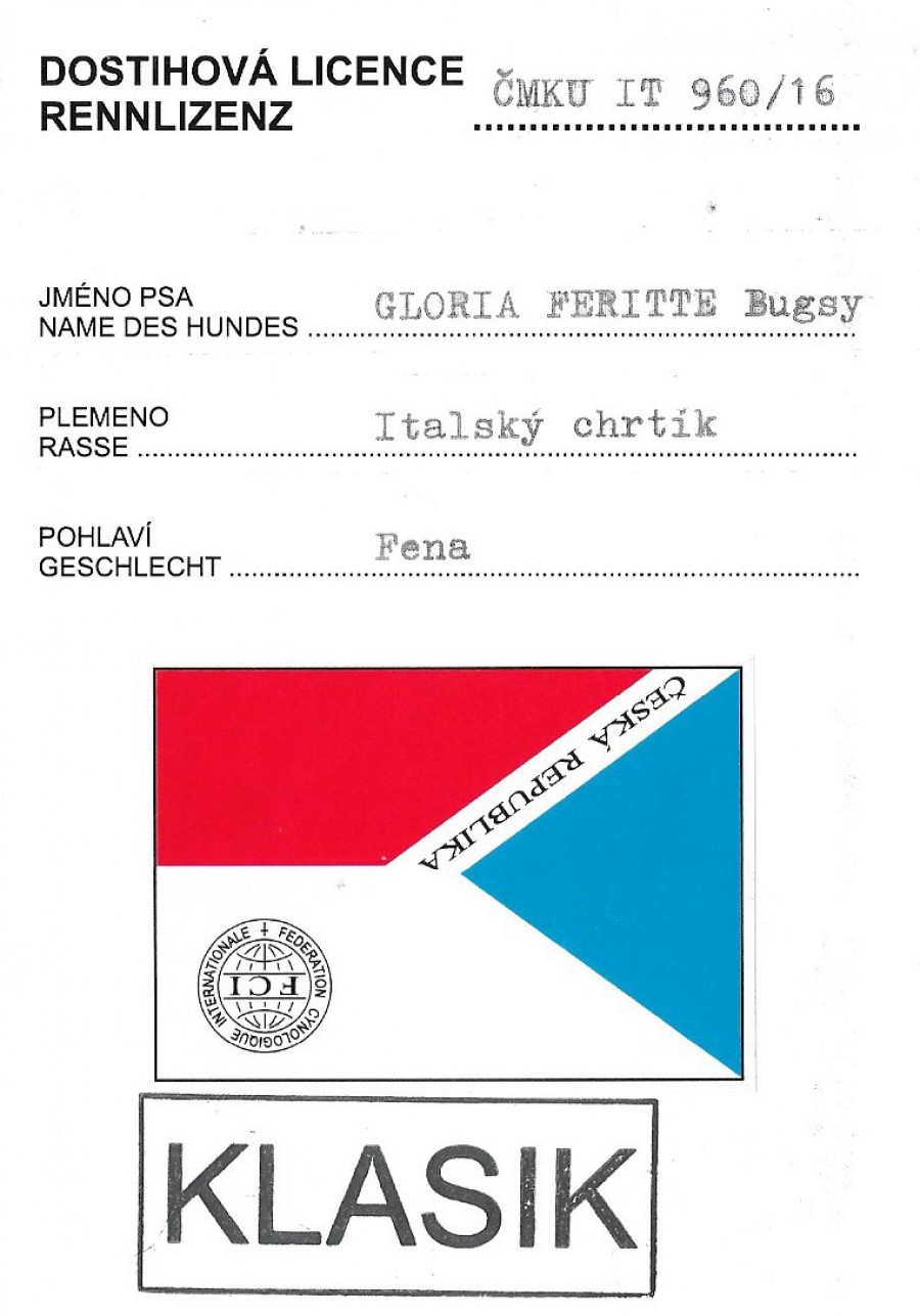 gloria-feritte-bugsy-dostihova-licence.jpg