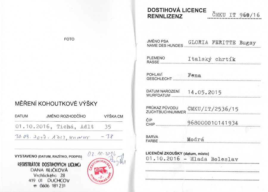 gloria-feritte-bugsy-dostihova-licence-1.jpg