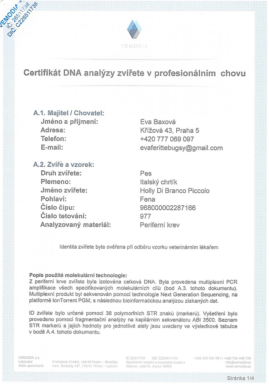 holly-di-branco-piccolo-dna-certifikat-cz.jpg