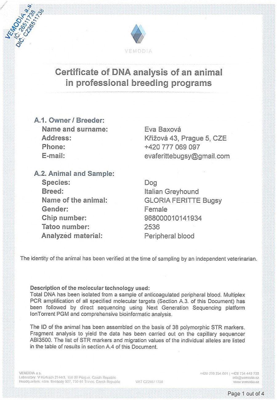 gloria-feritte-bugsy-dna-certifikat-en.jpg