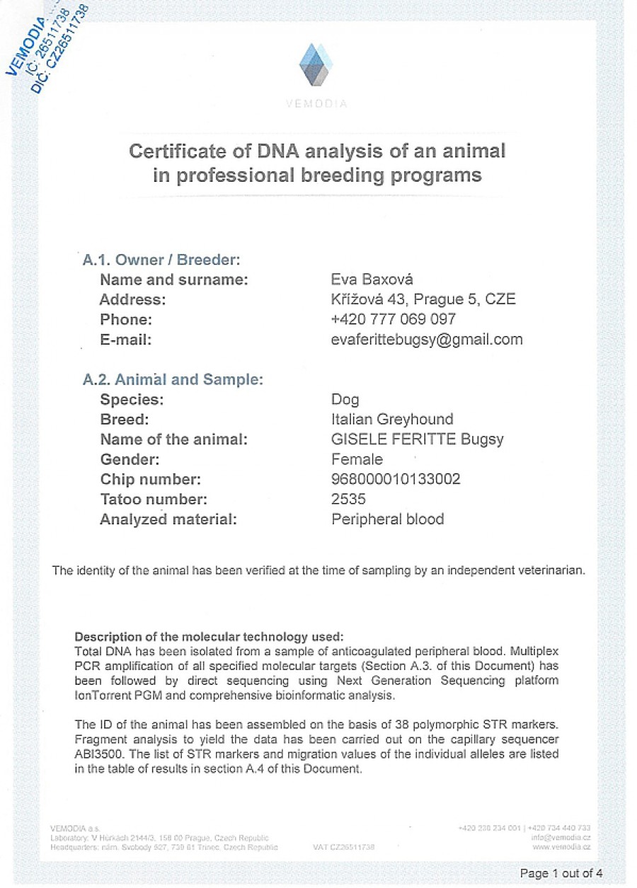 gisele-feritte-bugsy-dna-certifikat-en.jpg