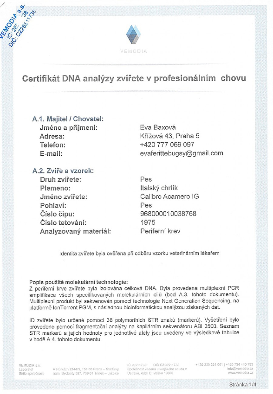 calibro-acameo-ig-dna-certifikat-cz.jpg