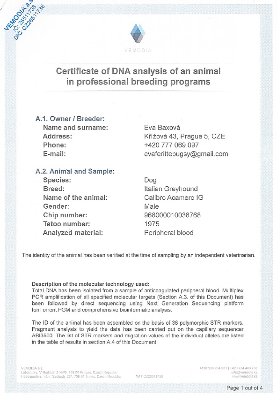 calibro-acameo-ig-dna-certifikat-en.jpg