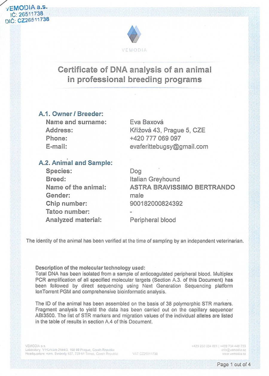 astra-bravissimo-bertrando-dna-certifikat-en.jpg