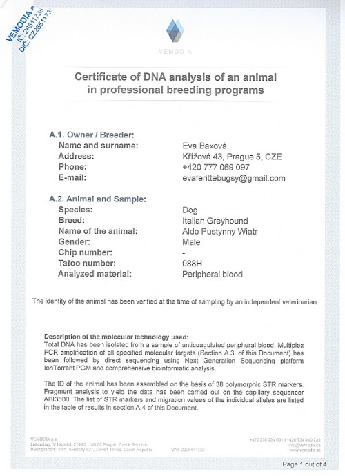 aldo-pustynny-wiatr-dna-certifikat-en.jpg